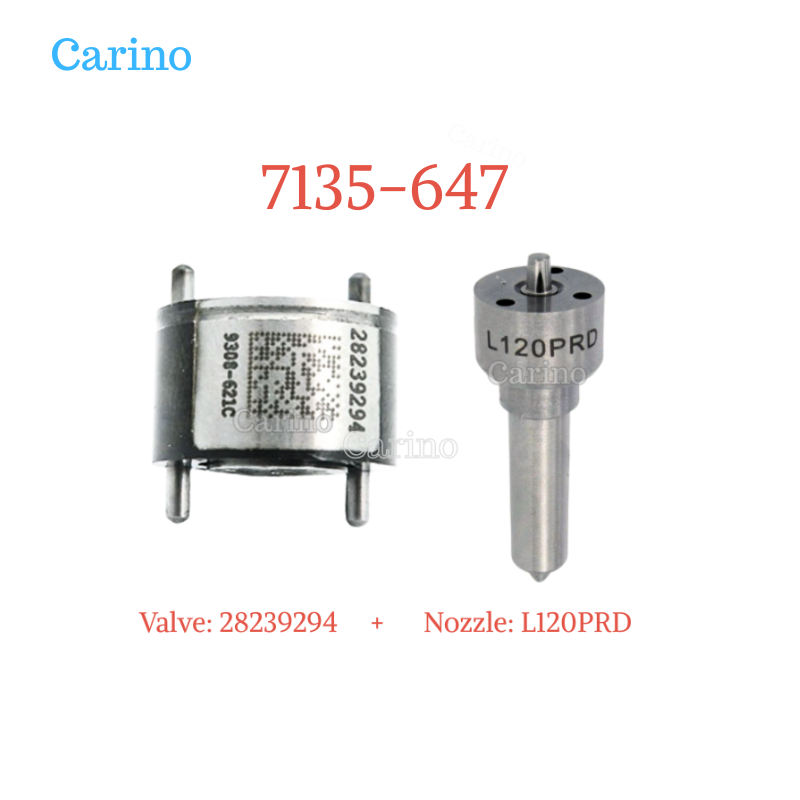 7135-647 Injector Repair Kit for EJBR04001D Fuel Injector